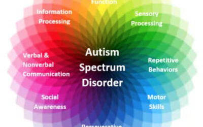 Tips from a parent with an Autistic child